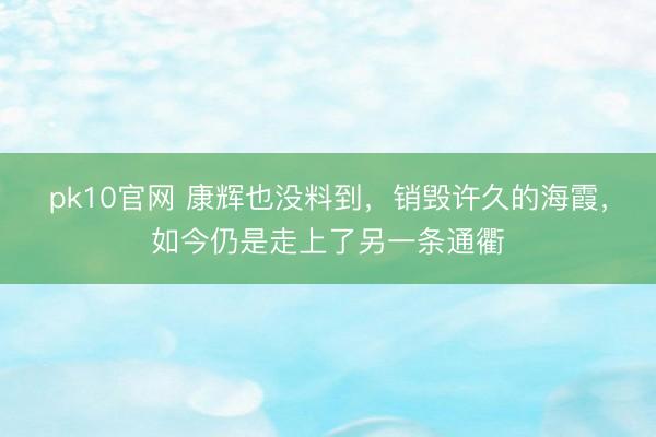 pk10官网 康辉也没料到，销毁许久的海霞，如今仍是走上了另一条通衢