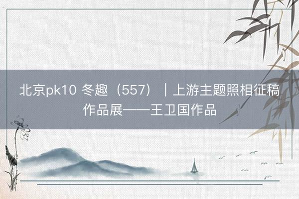 北京pk10 冬趣（557）｜上游主题照相征稿作品展——王卫国作品