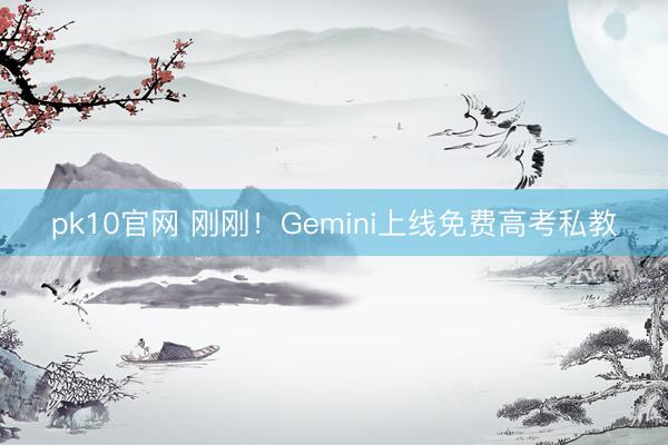 pk10官网 刚刚！Gemini上线免费高考私教