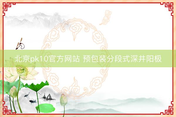 北京pk10官方网站 预包装分段式深井阳极