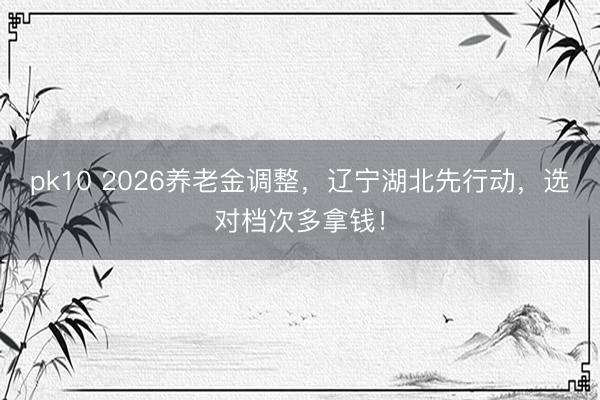 pk10 2026养老金调整,辽宁湖北先行动,选对档次多拿钱!