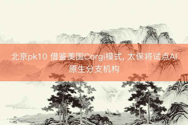北京pk10 借鉴美国Corgi模式， 太保将试点AI原生分支机构
