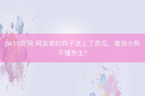 pk10官网 网友家的狗子迷上了苦瓜，谁说小狗不懂养生？