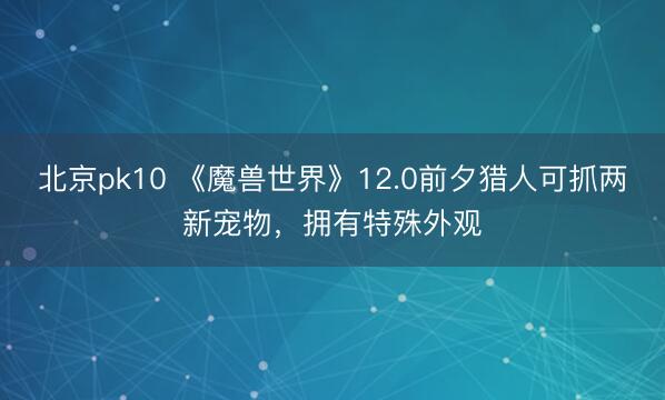 北京pk10 《魔兽世界》12.0前夕猎人可抓两新宠物，拥有特殊外观