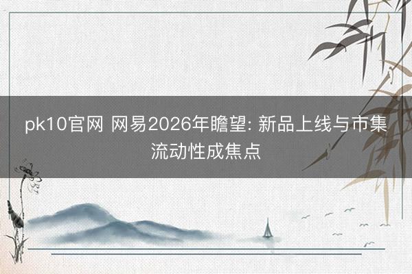 pk10官网 网易2026年瞻望: 新品上线与市集流动性成焦点