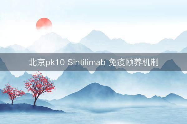 北京pk10 Sintilimab 免疫颐养机制