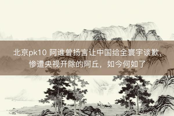 北京pk10 阿谁曾扬言让中国给全寰宇谈歉，惨遭央视开除的阿丘，如今何如了