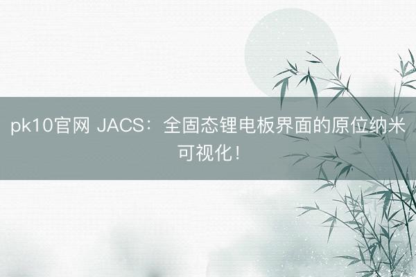 pk10官网 JACS:全固态锂电板界面的原位纳米可视化!