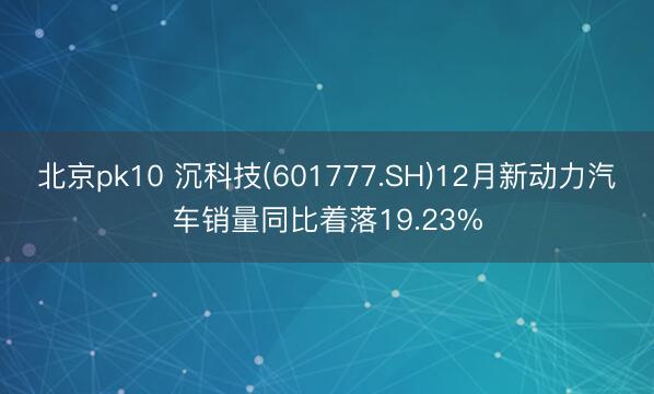 北京pk10 沉科技(601777.SH)12月新动力汽车销量同比着落19.23%
