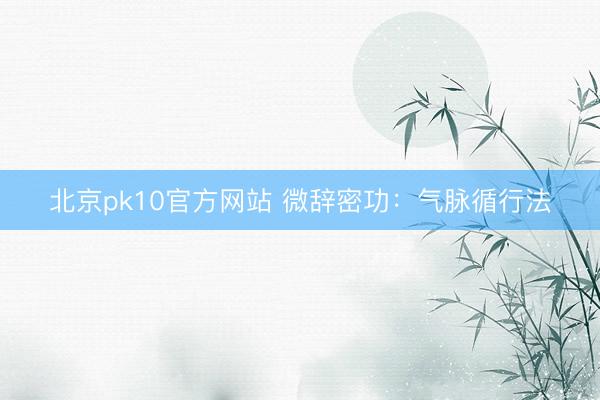 北京pk10官方网站 微辞密功：气脉循行法