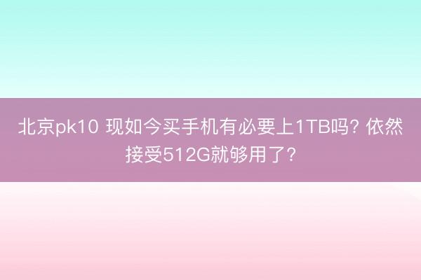 北京pk10 现如今买手机有必要上1TB吗? 依然接受512G就够用了?